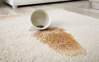 Carpet Care 101: Expert Tips on How to Remove Stains