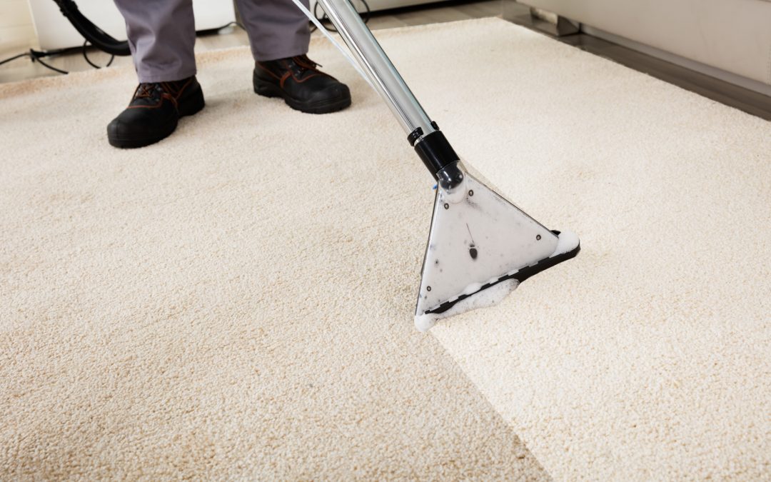 Why You Should Seriously Consider Professional Carpet Cleaning