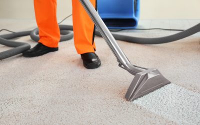 Professional Carpet Cleaning: The Health Benefits Explained