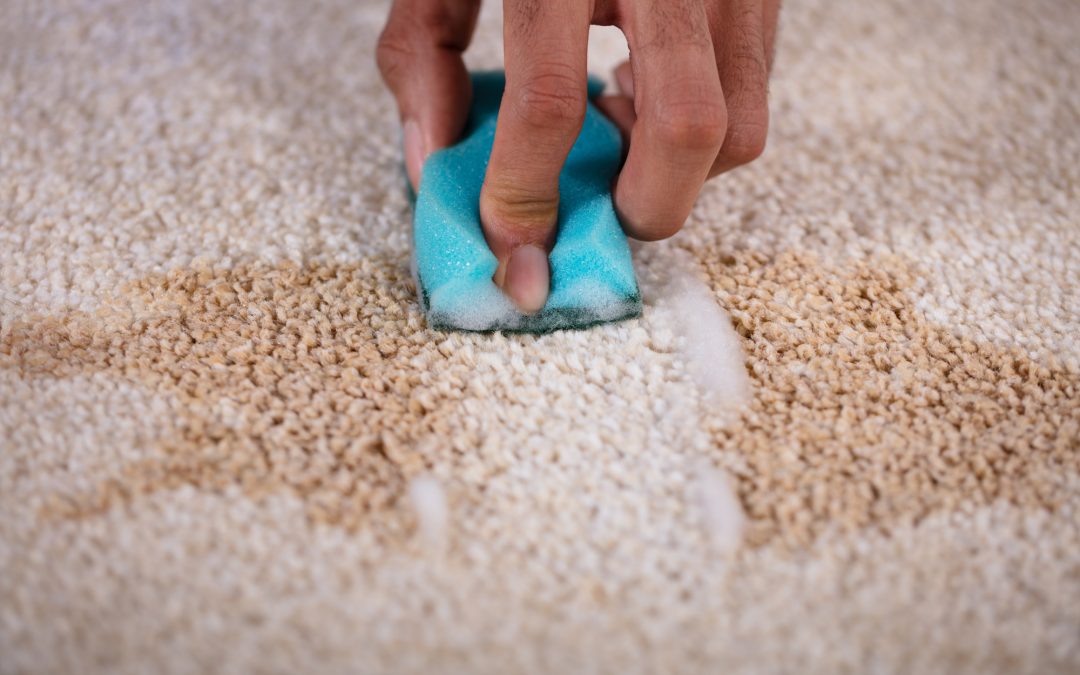 How to Clean Your Carpets Like a Pro