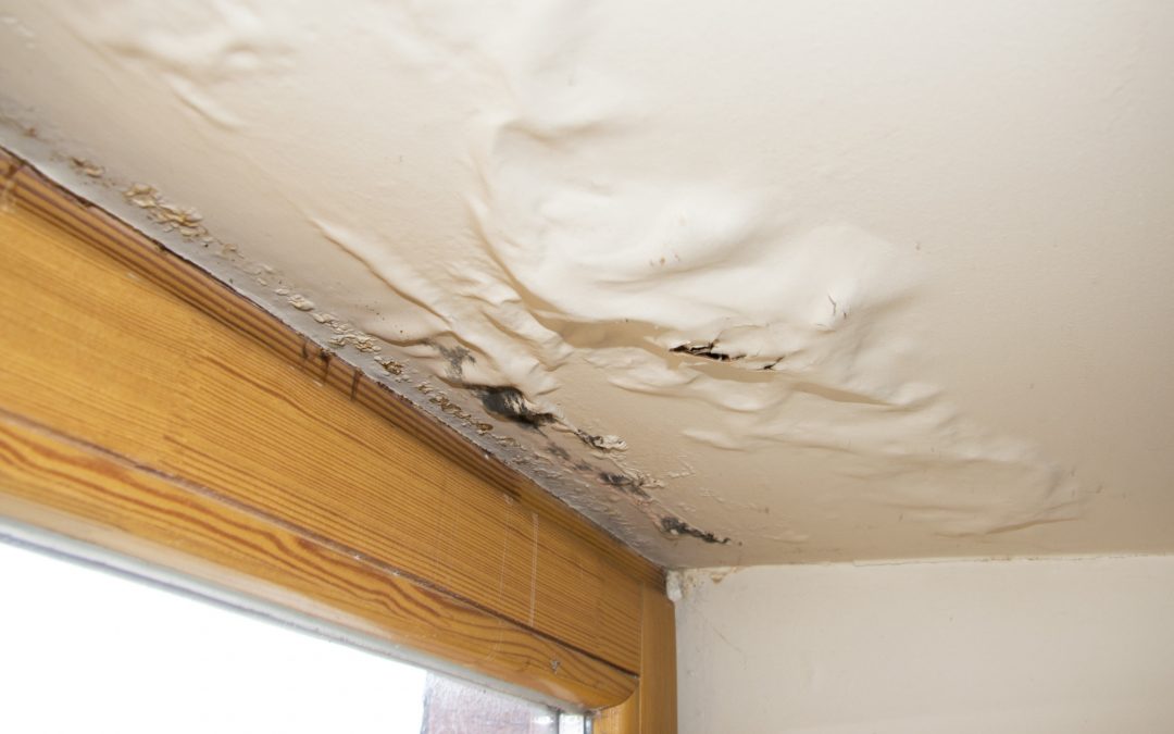 What to Do After Your Home Suffers From Water Damage
