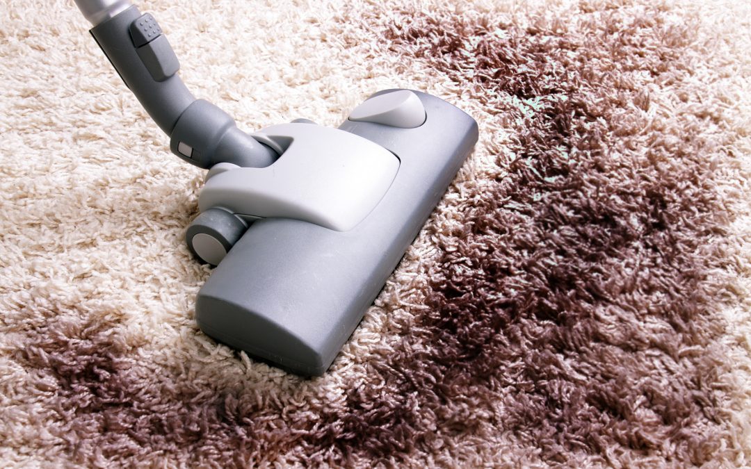 5 Benefits of Hiring Carpet Cleaning Services