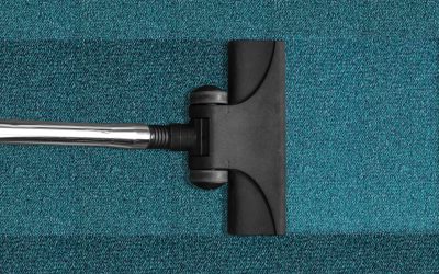 How to Choose Carpet Cleaning Services: Everything You Need to Know