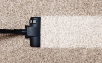 Reasons to Rely on a Professional Carpet Cleaner Service for Your Business