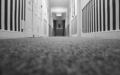 Top 4 Benefits of Professional Residential Carpet Cleaning Services
