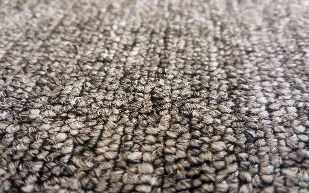 Mold in Carpet? Effective Solutions for a Fresh Home Environment