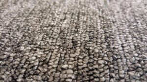 mold in carpet
