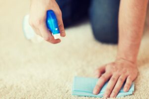 urine on carpet