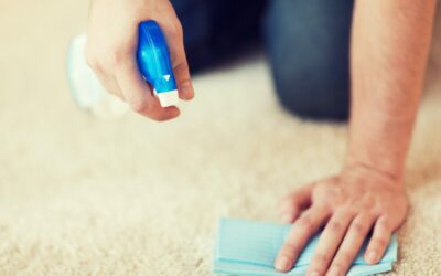 Say Goodbye to Urine on Carpet with Pro Tips