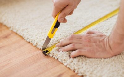 How to Safely Sanitize High-Traffic Loop-Pile Berber Without Causing Snags or Fraying